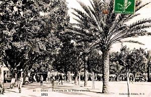 ORAN - PLACE D'ARMES -  PALMIERS - 1911
